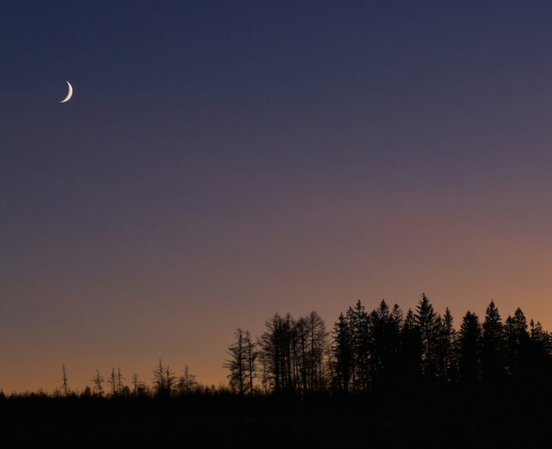 Idee für eine liturgische Osternacht mit Wanderung